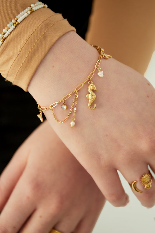Goud & Zilver Bedelarmband RVS Goud & Zilver – – detail close-up | Tudor Gems