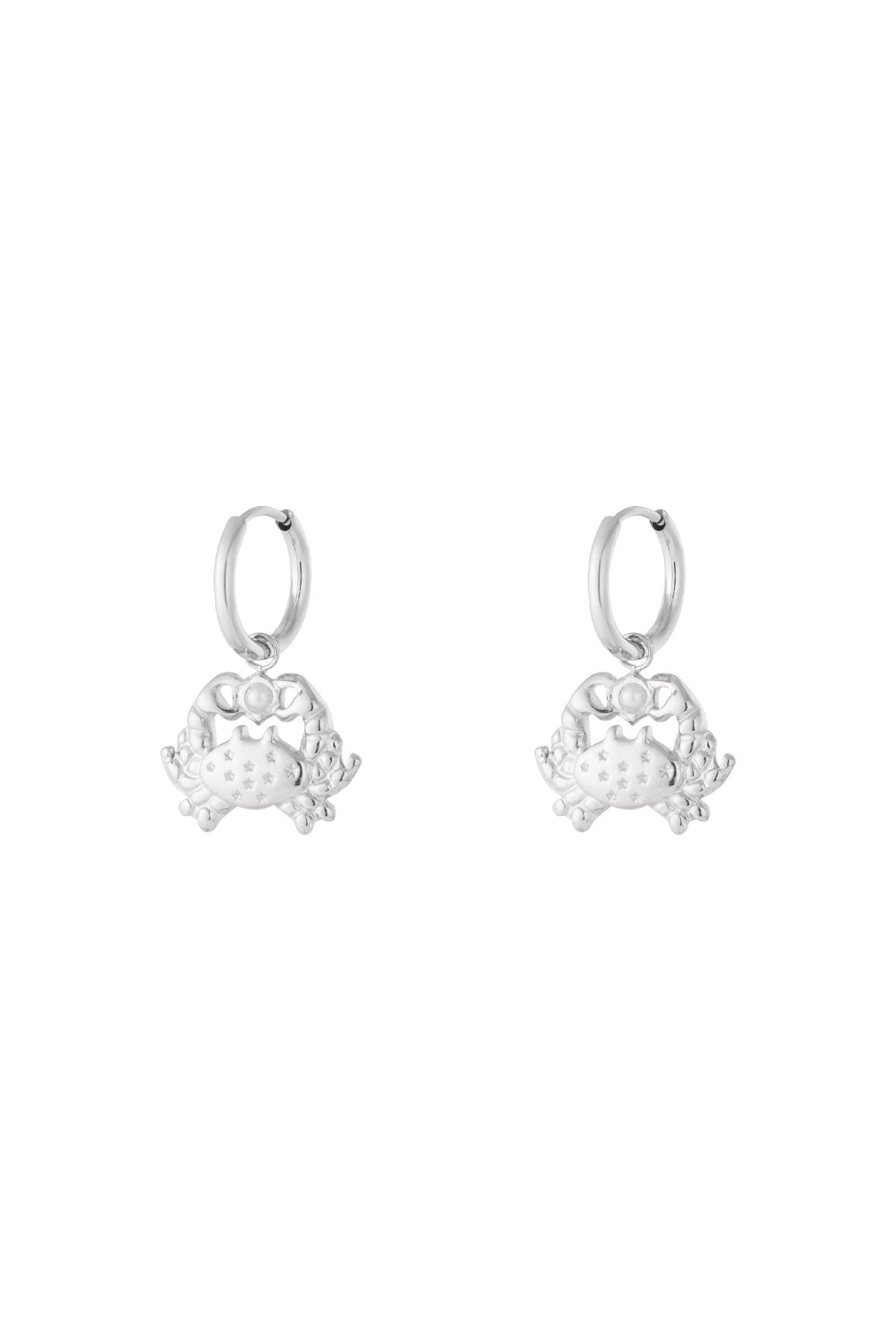 Goud & Zilver Golden Shore Crab Earrings – RVS Oorhangers Goud & Zilver – gedragen op model | Tudor Gems