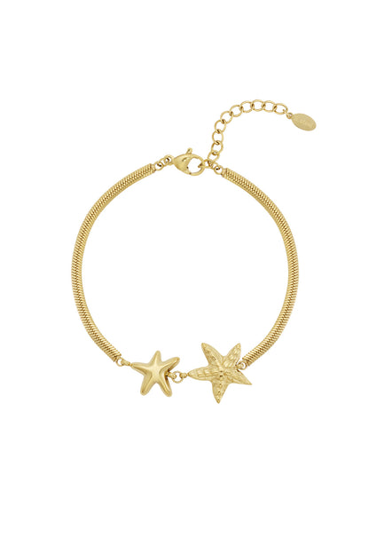 Zilver Double Star Armband RVS Zilver – productfoto | Tudor Gems
