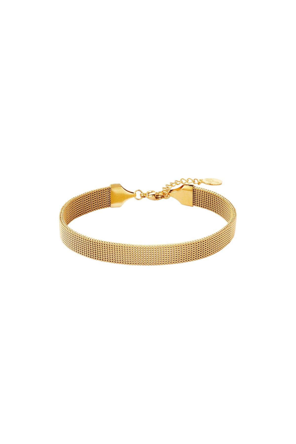 Goud & Zilver RVS armband Starlight Kleur Link – Goud – productfoto | Tudor Gems