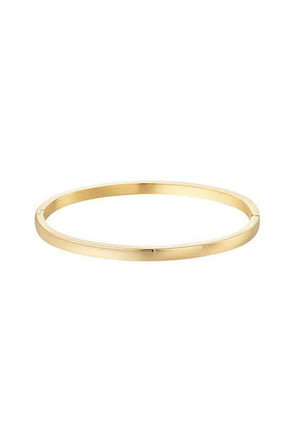 Goud & Zilver Nova Slim Bangle Armband RVS Goud & Zilver – productfoto | Tudor Gems