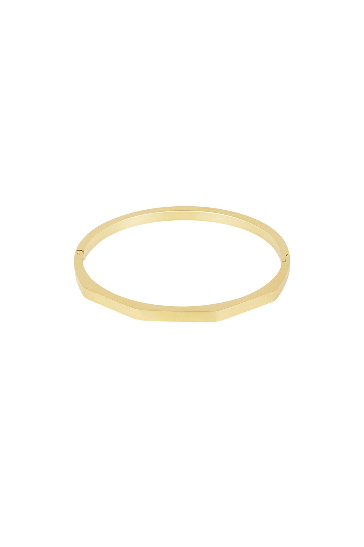 Goud & Zilver Valenza Geo Bangle Armband RVS Goud & Zilver – productfoto | Tudor Gems