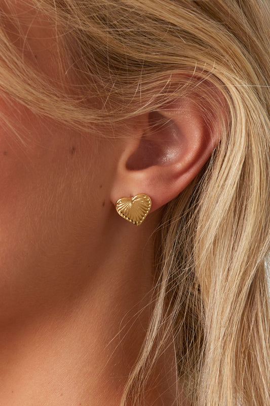 Goud & Zilver Luna Heart Oorbellen RVS – Goud & Zilver – detail close-up | Tudor Gems