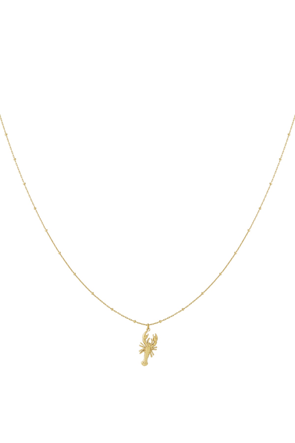 Goud & Zilver Marina Kreeft Ketting RVS Goud & Zilver – productfoto | Tudor Gems