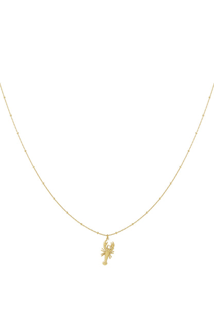 Goud & Zilver Marina Kreeft Ketting RVS Goud & Zilver – productfoto | Tudor Gems