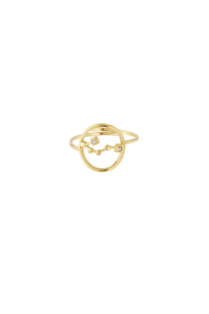 Zodiak Luxe RVS Ring Goud & Zilver Goud — RVS Waterproof Nikkelvrij | Tudor Gems