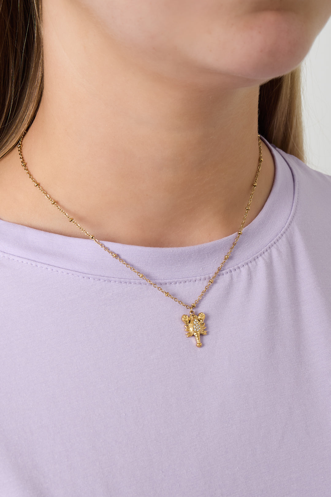 Goud & Zilver Scorpio Spark Ketting RVS – Goud & Zilver – detail close-up | Tudor Gems