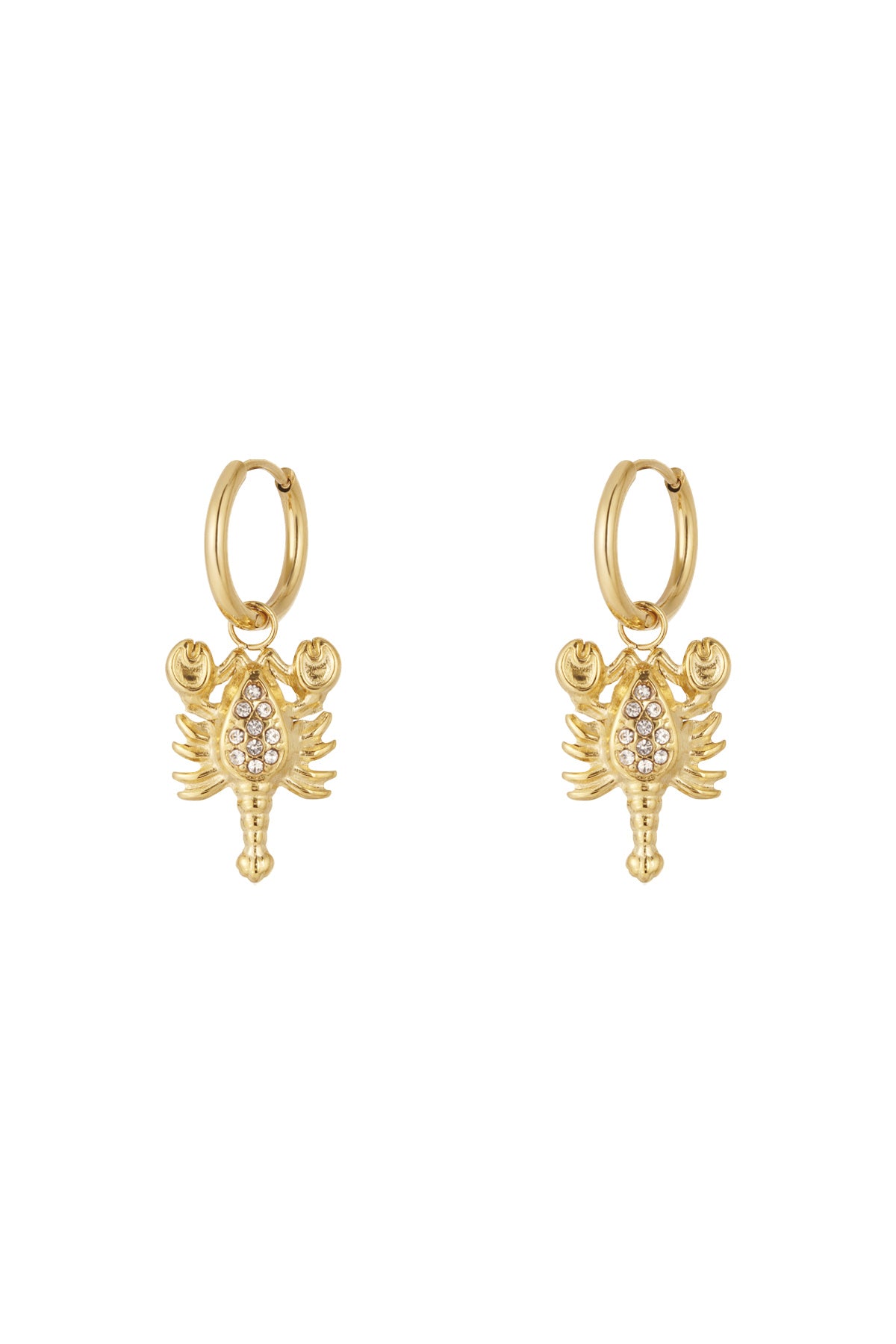 Goud & Zilver Scorpio Spark Schorpioen Oorbellen (RVS) – Goud & Zilver – productfoto | Tudor Gems