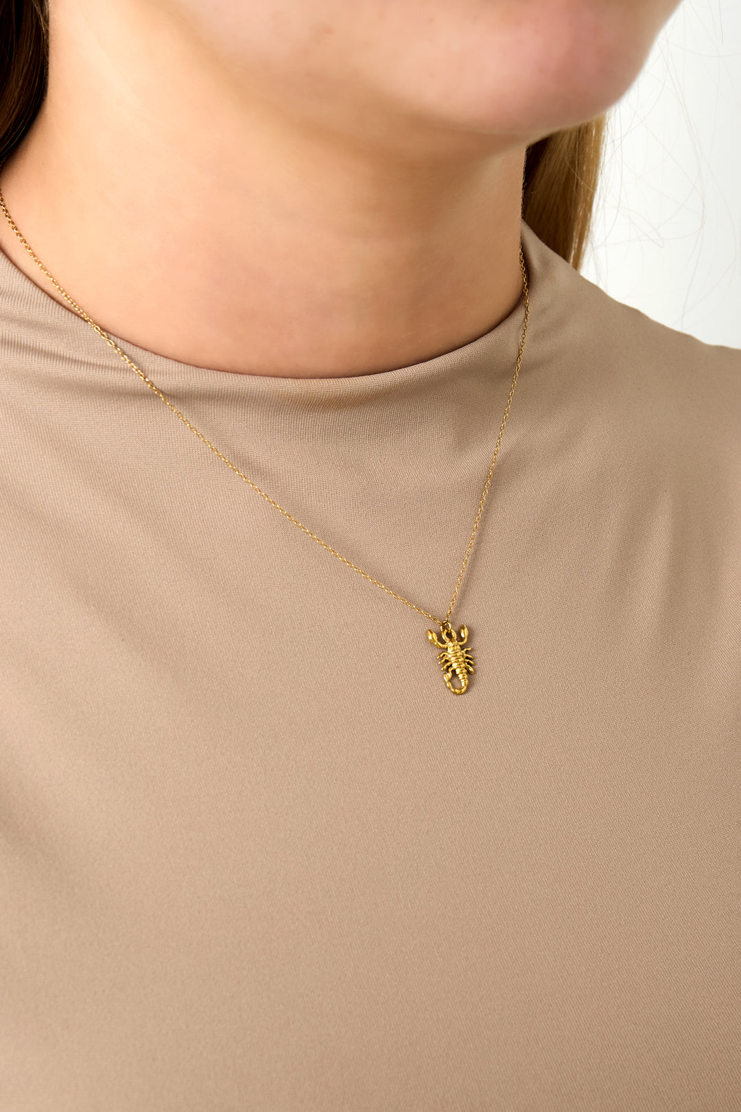 Goud & Zilver Scorpio Spirit Ketting RVS – Goud & Zilver – detail close-up | Tudor Gems