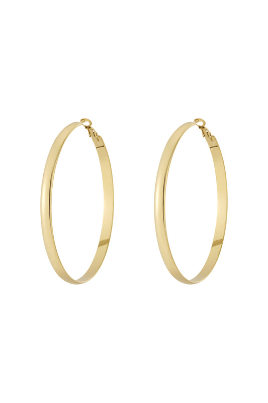 Goud & Zilver Nova Classic Hoop Oorbellen RVS Goud & Zilver – productfoto | Tudor Gems