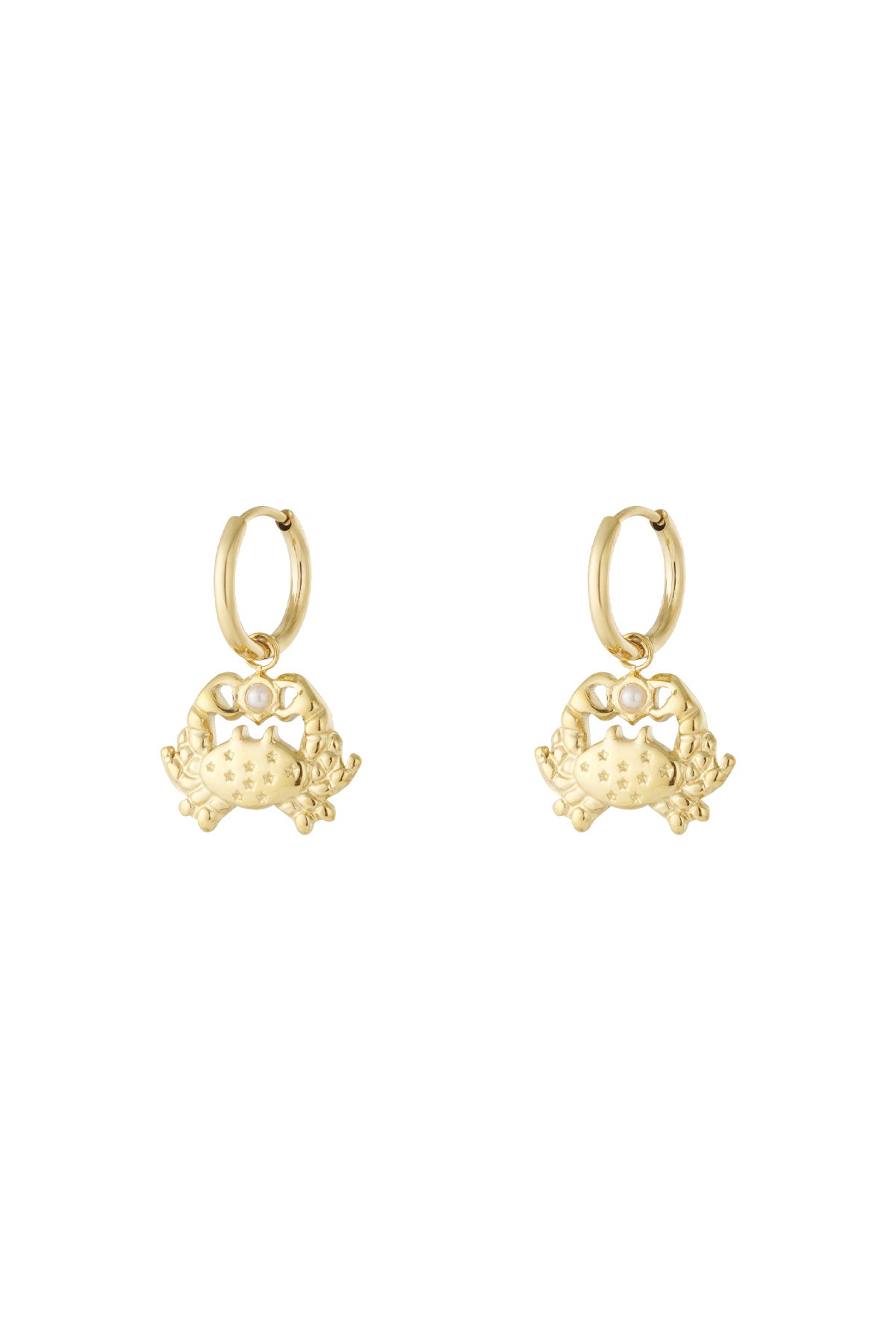 Goud & Zilver Golden Shore Crab Earrings – RVS Oorhangers Goud & Zilver – productfoto | Tudor Gems