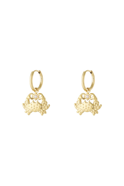Goud & Zilver Golden Shore Crab Earrings – RVS Oorhangers Goud & Zilver – productfoto | Tudor Gems