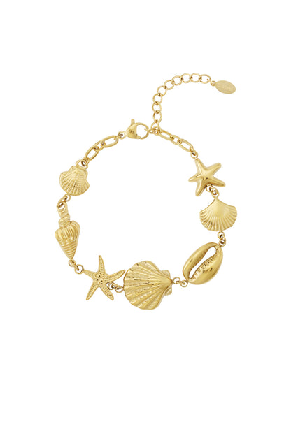 Zilver Ocean Breeze Armband RVS Zilver – Schelp & Zeester – productfoto | Tudor Gems
