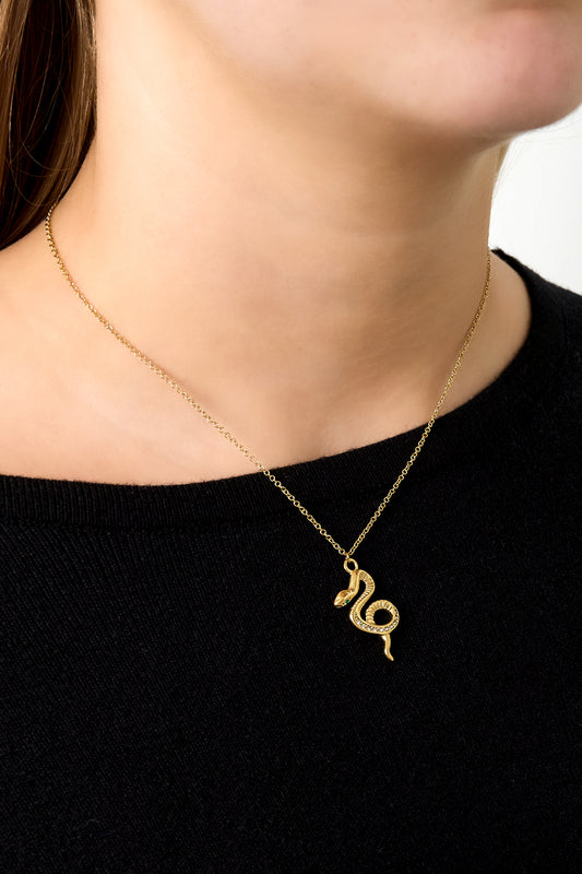 Goud & Zilver Serpenta Slang Ketting RVS Goud & Zilver – detail close-up | Tudor Gems