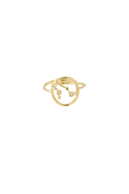 Zodiak Luxe RVS Ring Goud & Zilver Goud — RVS Waterproof Nikkelvrij | Tudor Gems