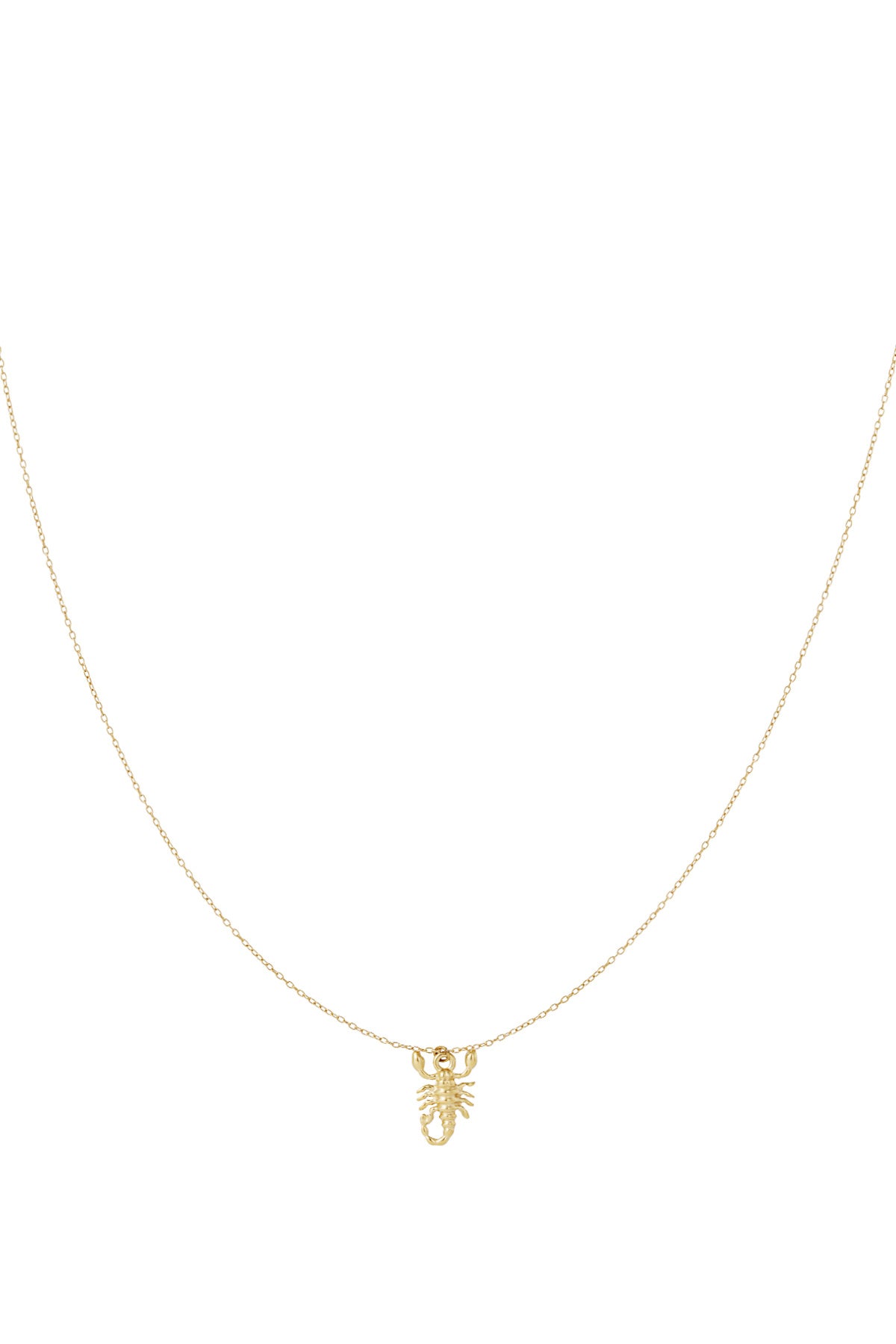 Goud & Zilver Scorpio Spirit Ketting RVS – Goud & Zilver – productfoto | Tudor Gems