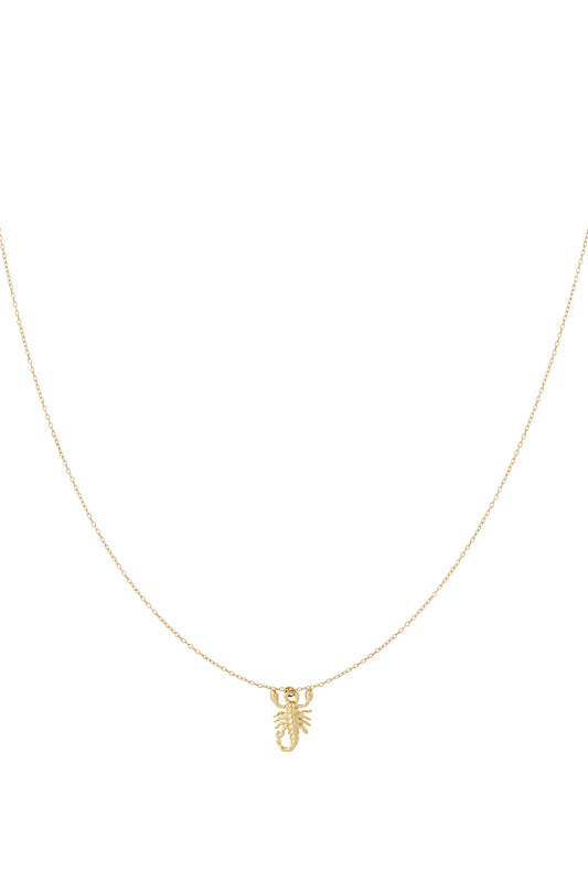Goud & Zilver Scorpio Spirit Ketting RVS – Goud & Zilver – productfoto | Tudor Gems