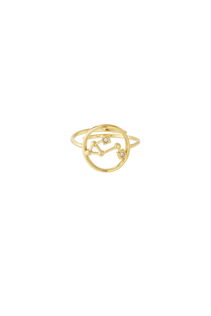 Zodiak Luxe RVS Ring Goud & Zilver Goud — RVS Waterproof Nikkelvrij | Tudor Gems