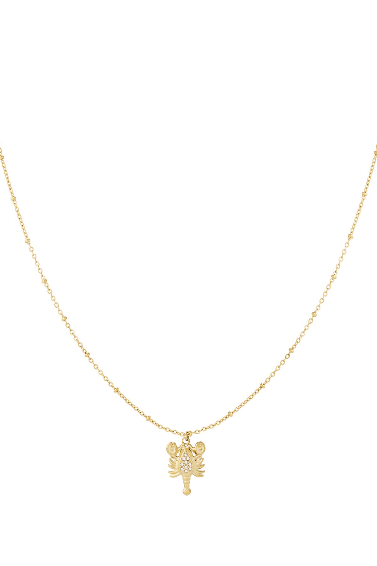 Goud & Zilver Scorpio Spark Ketting RVS – Goud & Zilver – productfoto | Tudor Gems