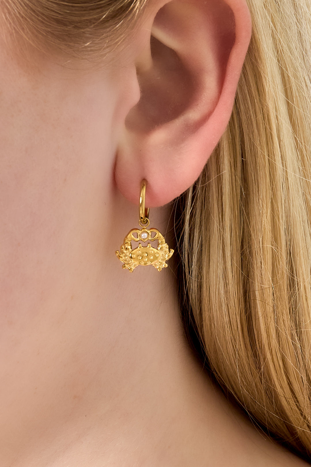 Goud & Zilver Golden Shore Crab Earrings – RVS Oorhangers Goud & Zilver – detail close-up | Tudor Gems
