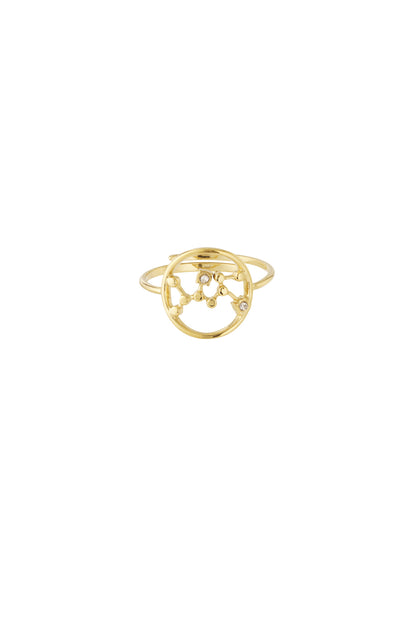 Zodiak Luxe RVS Ring Goud & Zilver Goud — RVS Waterproof Nikkelvrij | Tudor Gems